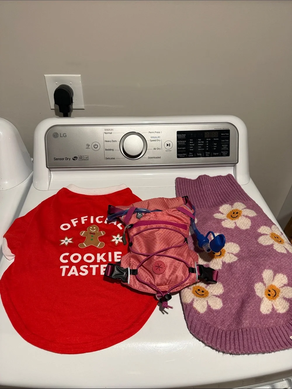Lot of Puppy/Small Dog Accessories and Clothes